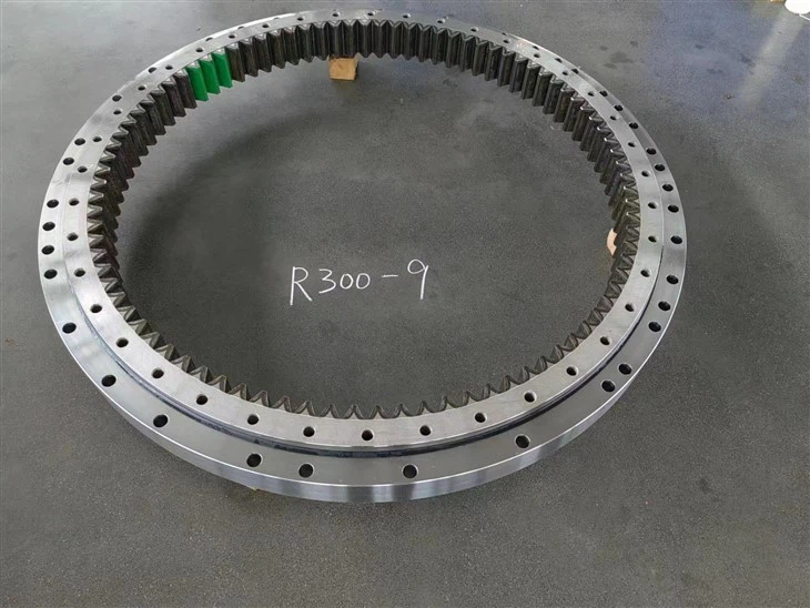 R 300-9 Vòng bi xoay