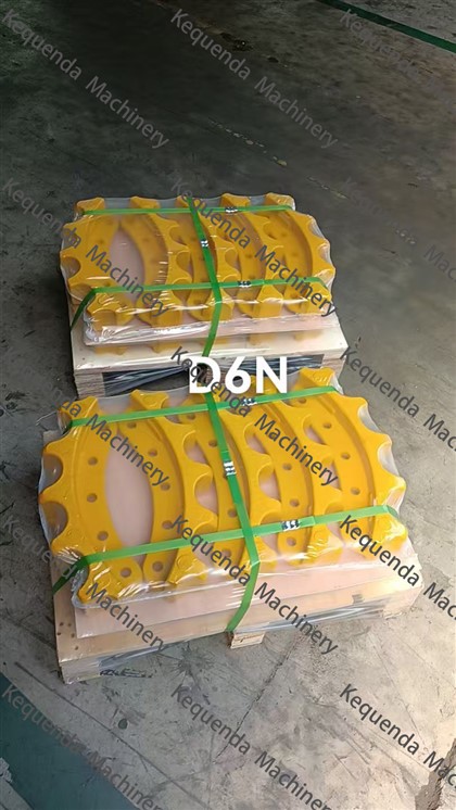 Phân đoạn D6N