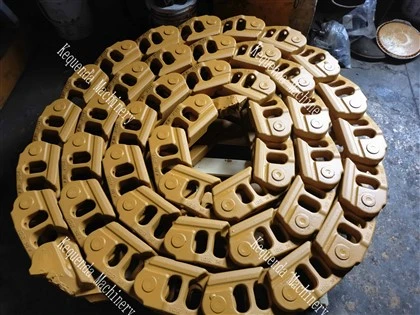 Liên kết theo dõi D9N